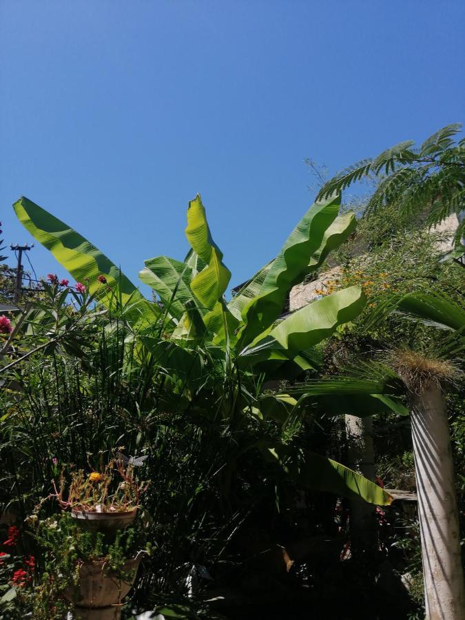 Magnoliia Otel Sohum Dış mekan fotoğraf