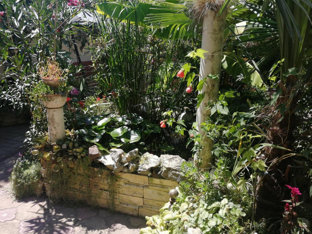 Magnoliia Otel Sohum Dış mekan fotoğraf