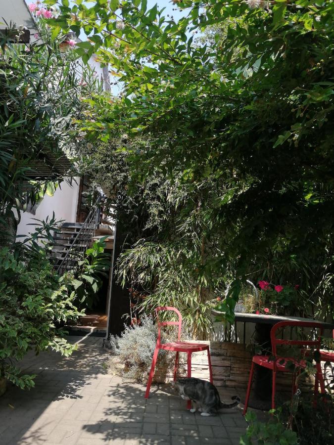 Magnoliia Otel Sohum Dış mekan fotoğraf