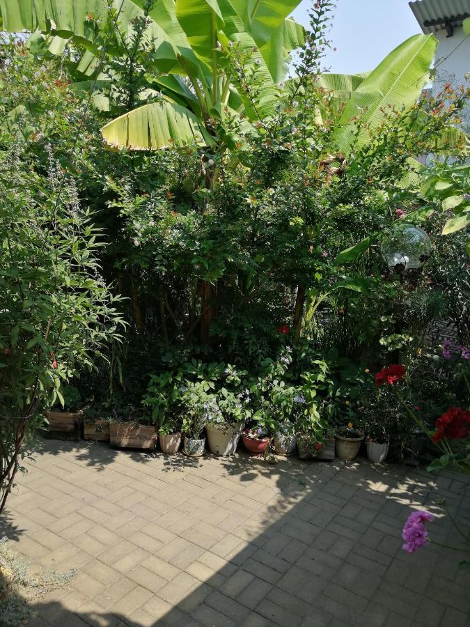 Magnoliia Otel Sohum Dış mekan fotoğraf