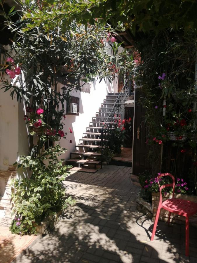 Magnoliia Otel Sohum Dış mekan fotoğraf